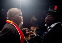 Gwede Mantashe: diminished but undefeated