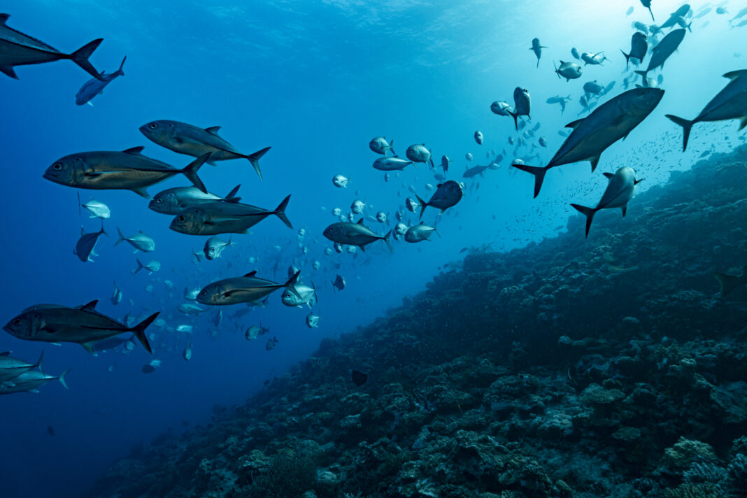 Seabed mining